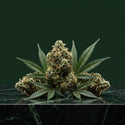 FLEURS CBD