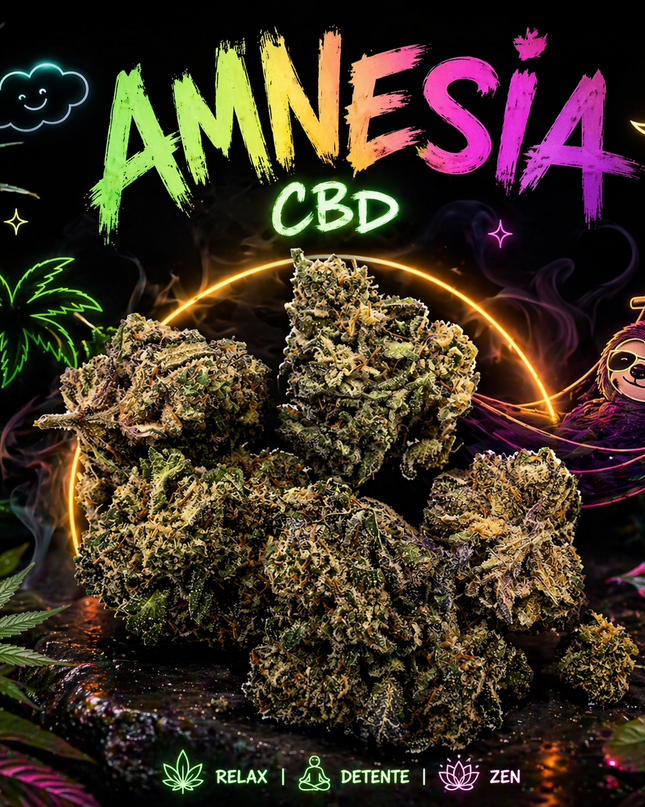 Amnesia CBD