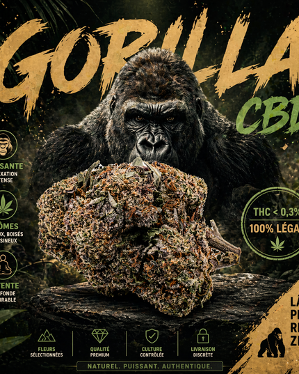 GORILLA