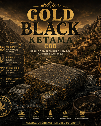 Gold Black Ketama