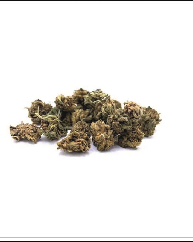 Small Bud - Orange Bud - 6%