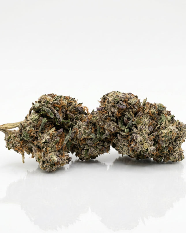 TROPICANA