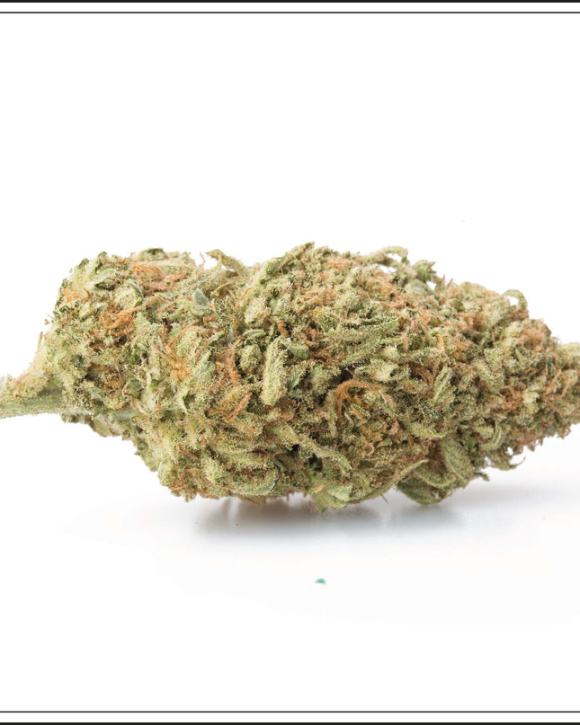Small Bud Moby Dick - 4%