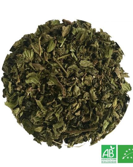 Thé à la Menthe Verte Bio