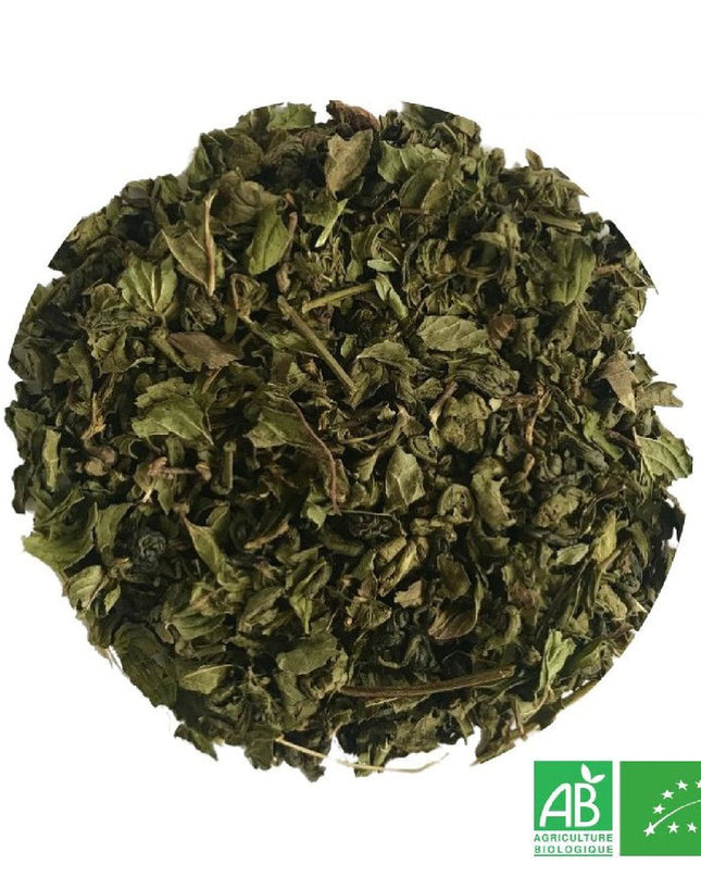 Thé à la Menthe Verte Bio