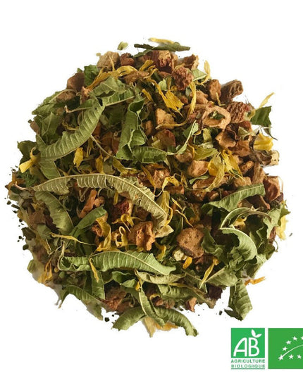 Infusion aux herbes pour le soir Bio